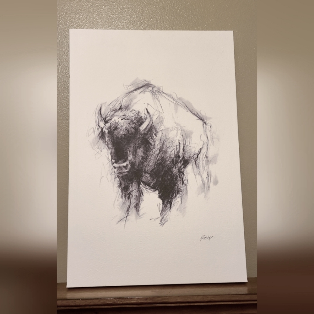 Buffalo Canvas Sketch